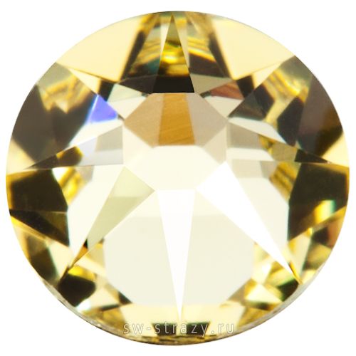 2058 ss 10 Jonquil F
