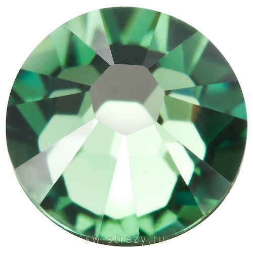 2058 ss 9 Erinite F